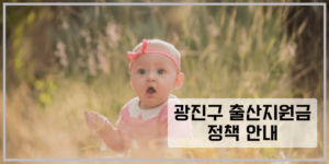 광진구 출산지원금 이미지